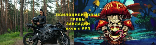 МДПВ Володарск